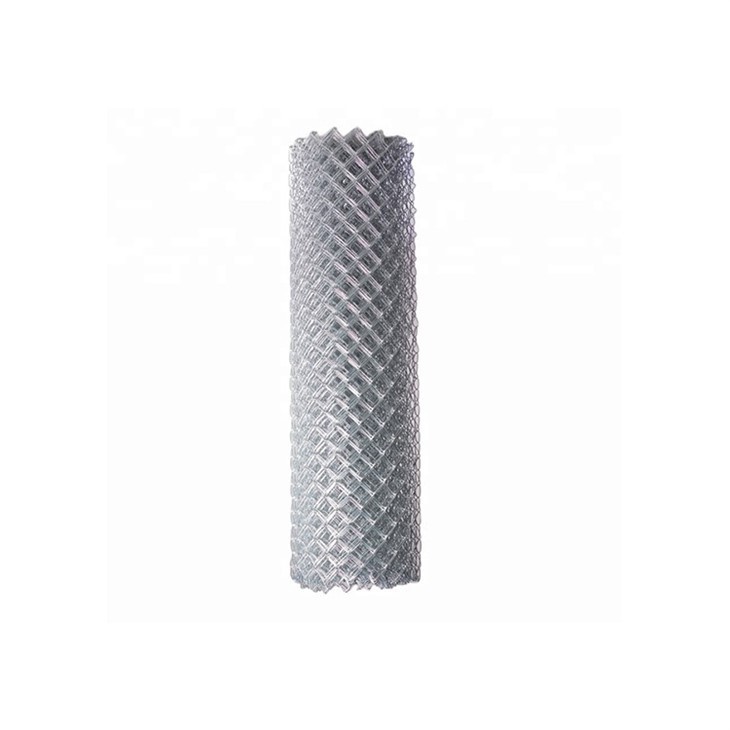 Galvanized chain link fence